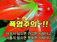 &#128154;그냥 아름답게 사는것&#128154;