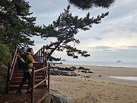 태안 신두리해변 트레킹