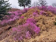 4월12일 경기둘레길 호명호수 사진