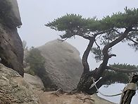 7/15/수락산 산행