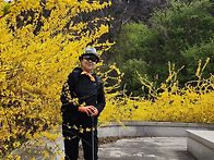 4월12일 (토) 호명호수.에덴벚꽃축제 /산..