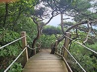 26/8/19/수리산(수암봉)
