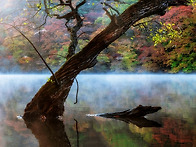 주산지 추경