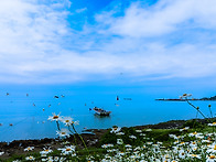 변산반도