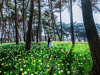 대전시전 [Daejeon Ci..