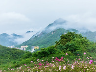 계룡산