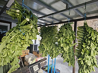 용유담 소소한 일..