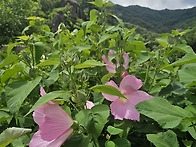 지리산용유담, 7..