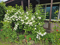 지리산용유담 봄볕..