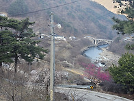 지리산용유담 봄꽃 소식