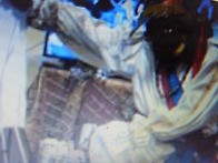 김형택 카툰-자유..