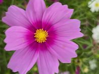 251009 거창 감악산 무장..