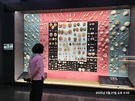 250521 신안 자은도 10..
