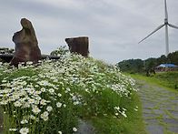 250521 신안 자은도 10..