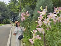 260627 진주 월아산 숲속..