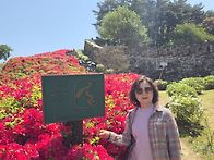 260425 고창 여행