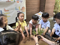 5월 4주 놀이사진입니다...