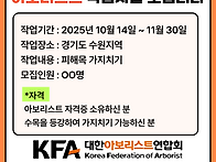 아보리스트 작업자분을 모..