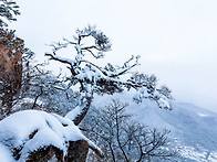 설경속으로