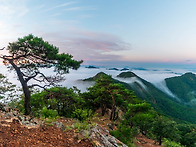 운해의 바다 갈기산