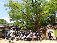 2024-1차 새울학교 장애인..