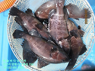 25년 5월 7일 수요일 능성..