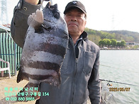 25년 5월 7일 수요일 조황