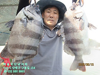 26년 6월 15일 월요일 조..