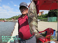 26년 8월 12일 수요일 조..