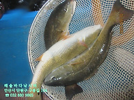 25년 9월 11일 목요일 점..