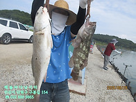 26년 8월 29일 토요일 조..