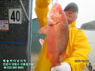 26년 9월 25일 금요일 조..