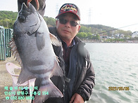 25년 5월 6일 화요일 조황