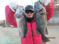 25년 12월 24일 수요일 조..