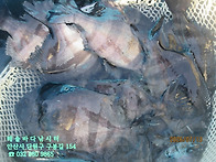 26년 7월 13일 월요일 돌..