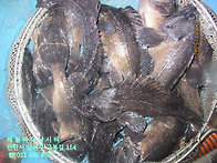 25년 11월 12일 수요일 우..