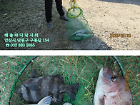 26년 9월 22일 화요일 조..