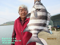 25년 5월 15일 목요일 조..