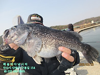 26년 3월 20일 금요일 조..