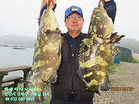 25년 6월 28일 토요일 조..