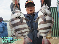 25년 5월 17일 토요일 조..