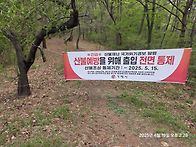 대금산 진달래 산행