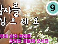 감사 심기 프로젝트-9회[..