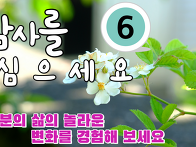 감사 심기 프로젝트-6회[..