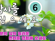 감사 심기 프로젝트-6회[..