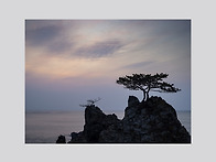 [P65+] New morning..