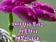 ♡이해는 아름다움의 시작..