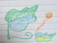 바라봄과 멈춤의 ..