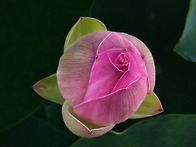 죽기 전에 갖고 ..