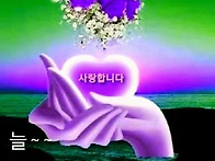 사랑합니다